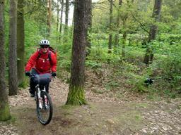 Highlight 15 along the Bikemap route "14.05.10 Eisenach-Weimar [Bilder]"