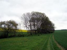 Highlight 41 along the Bikemap route "14.05.10 Eisenach-Weimar [Bilder]"