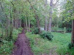 Highlight 20 along the Bikemap route "14.05.10 Eisenach-Weimar [Bilder]"