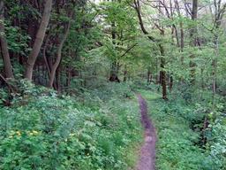 Highlight 10 along the Bikemap route "14.05.10 Eisenach-Weimar [Bilder]"