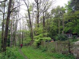 Highlight 13 along the Bikemap route "14.05.10 Eisenach-Weimar [Bilder]"