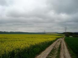 Highlight 46 along the Bikemap route "14.05.10 Eisenach-Weimar [Bilder]"
