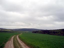 Highlight 47 along the Bikemap route "14.05.10 Eisenach-Weimar [Bilder]"