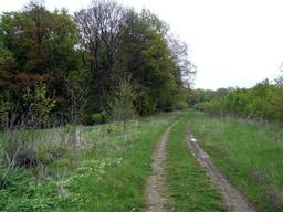 Highlight 44 along the Bikemap route "14.05.10 Eisenach-Weimar [Bilder]"