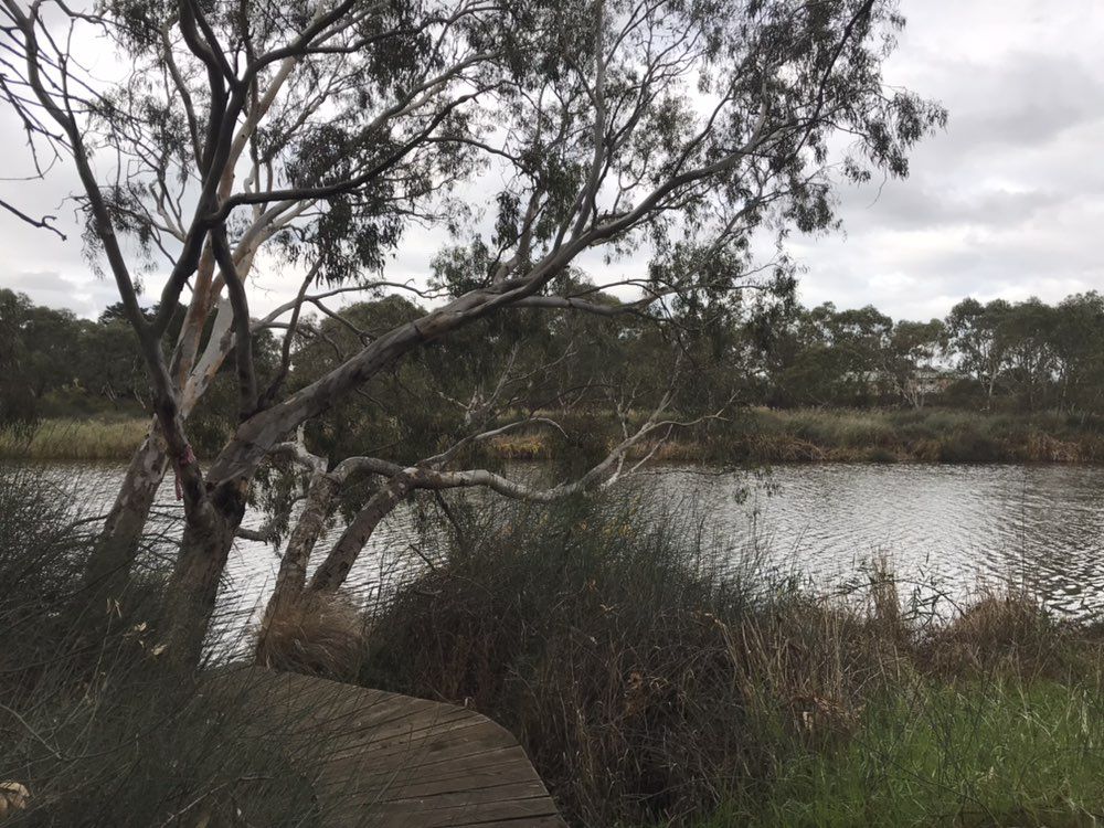 Relaxed route in Geelong