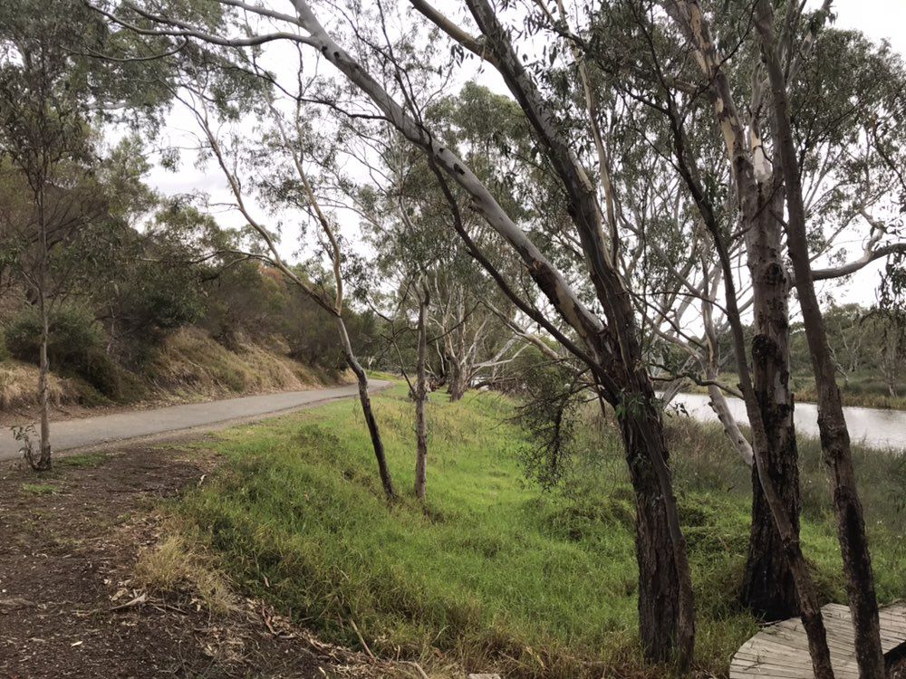 Relaxed route in Geelong