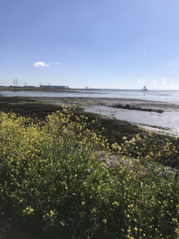 Sea Wall Extended
