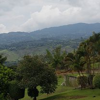 carmelo. 18 .tocota. jordan. carmelo