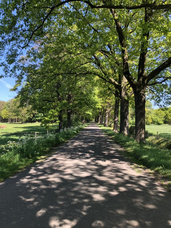 Relaxed route in Dieren