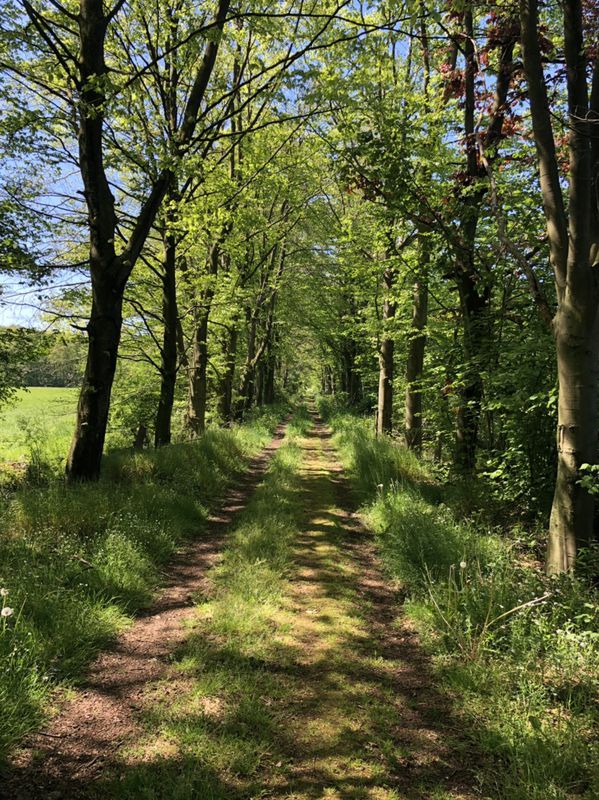 Relaxed route in Dieren