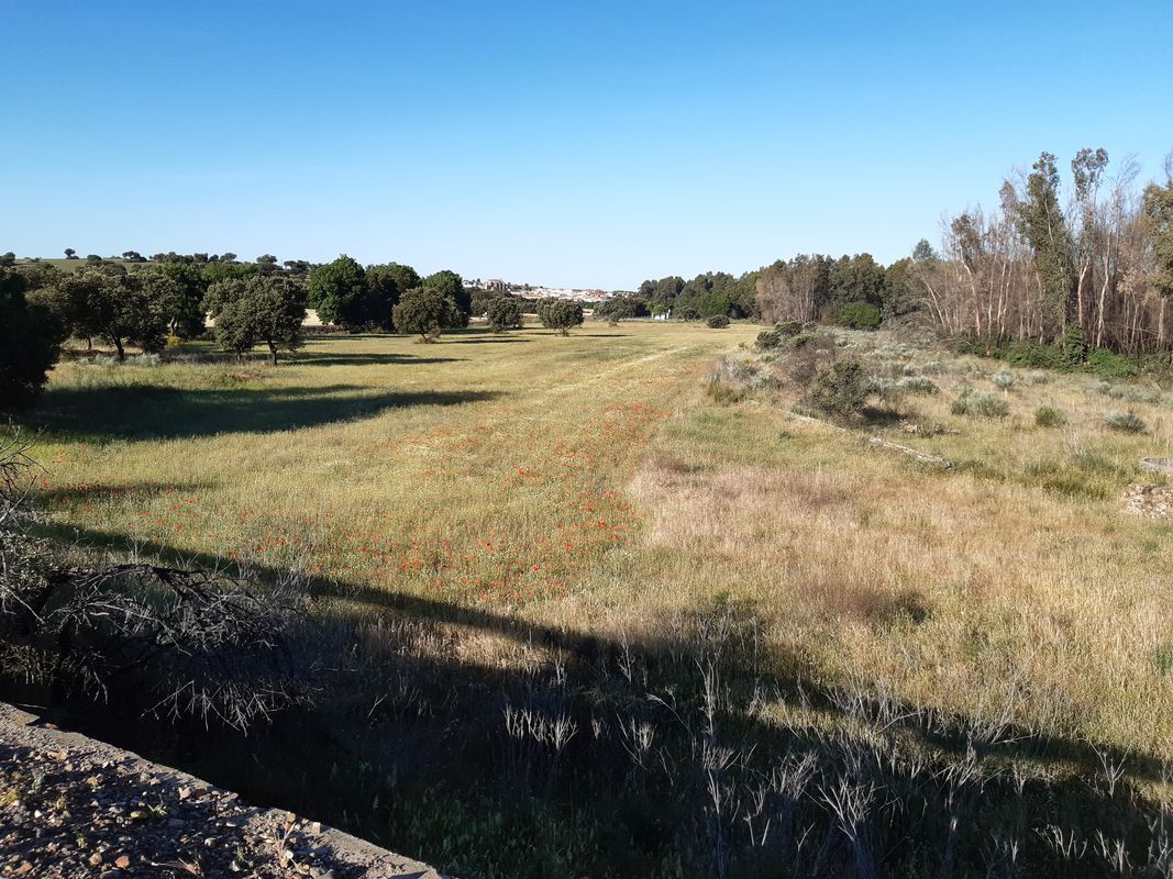 Merida to Caceres