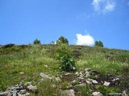 Highlight 6 along the Bikemap route "Baia Mare-  Tautii Magheraus-  Baita-Vf.Tiganu--Vf.Pietroasa(1200m)"