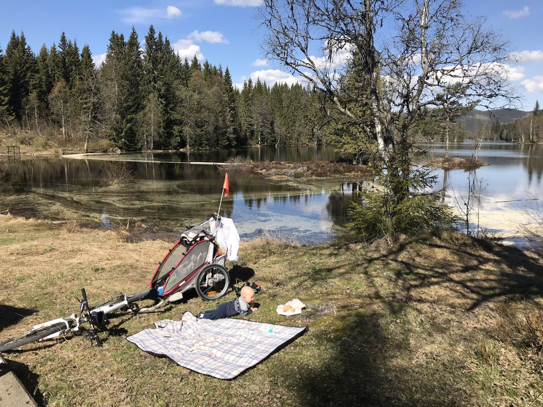 Voksenkollen-Koksrud 🚴🏻♂️🐗💨😅