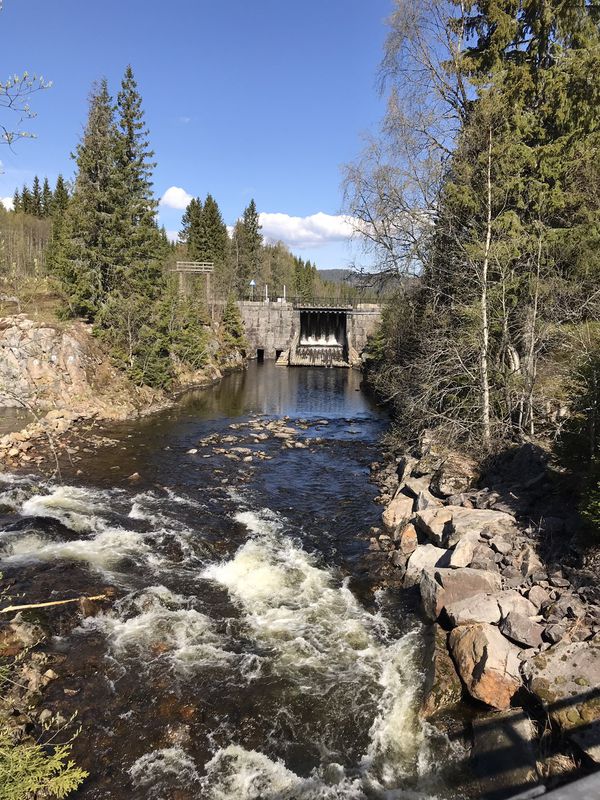 Voksenkollen-Koksrud 🚴🏻♂️🐗💨😅