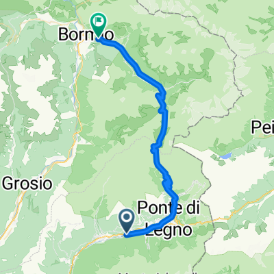 gavia da bormio