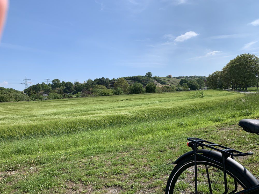 Gemütliche Route Riesa-Niederlommatzsch-Riesa