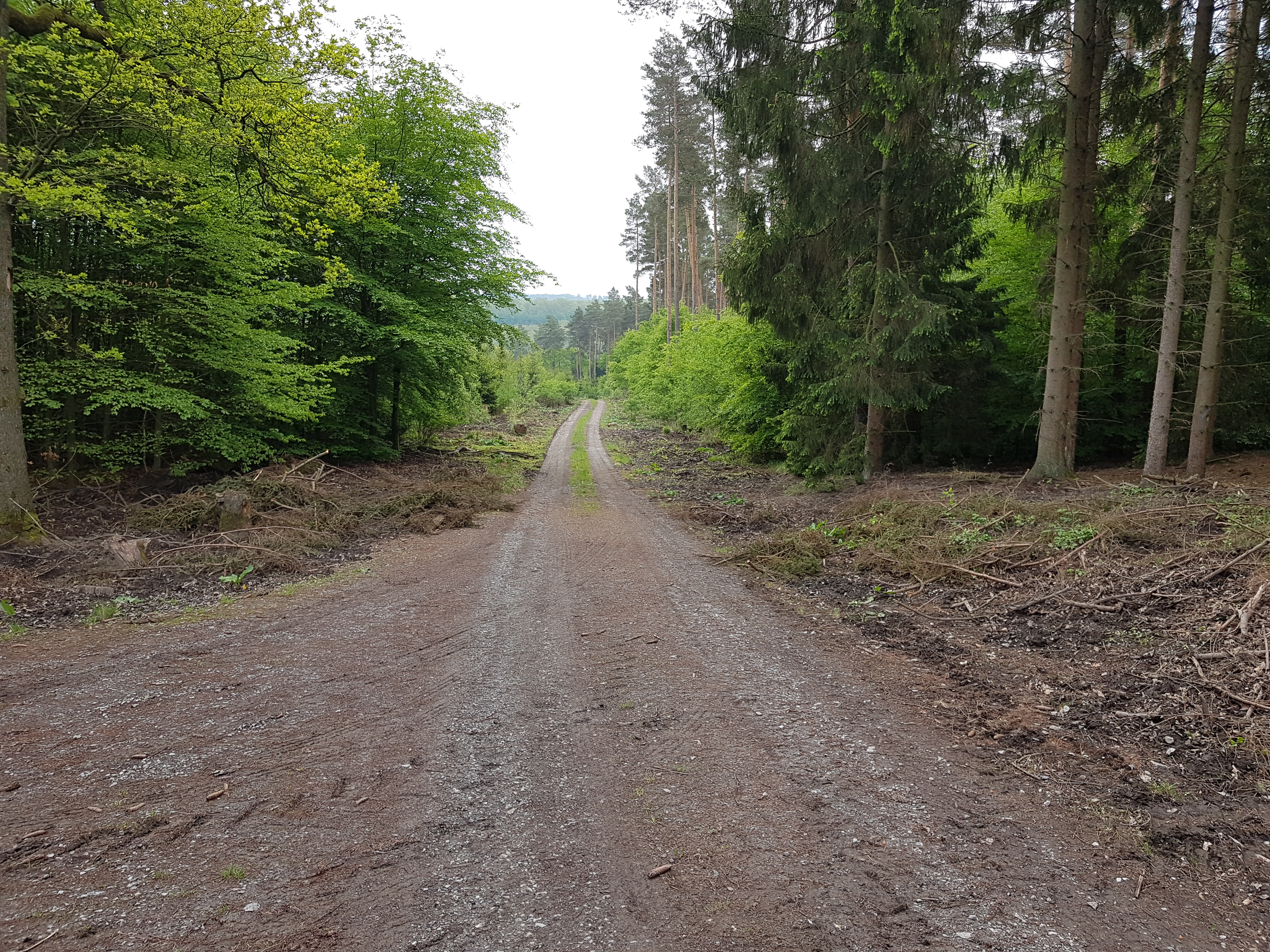 Voßwinkel-Lürbke-Menden