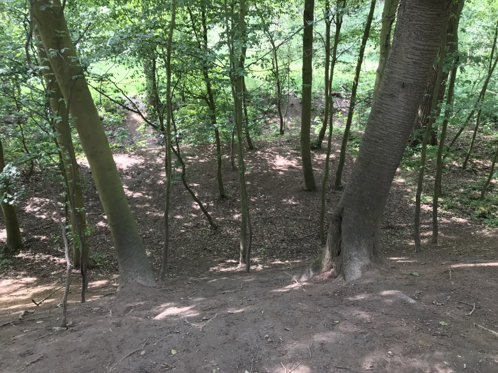 Bedburdyck / Glehn / Neukirchen / Gilverath