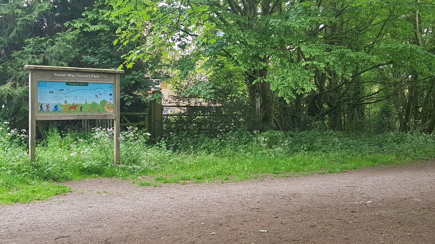 Forest Way