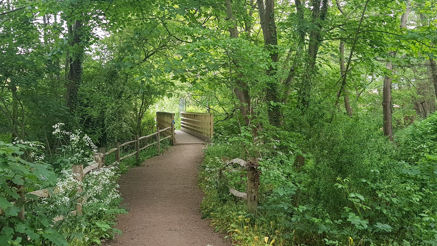 Forest Way