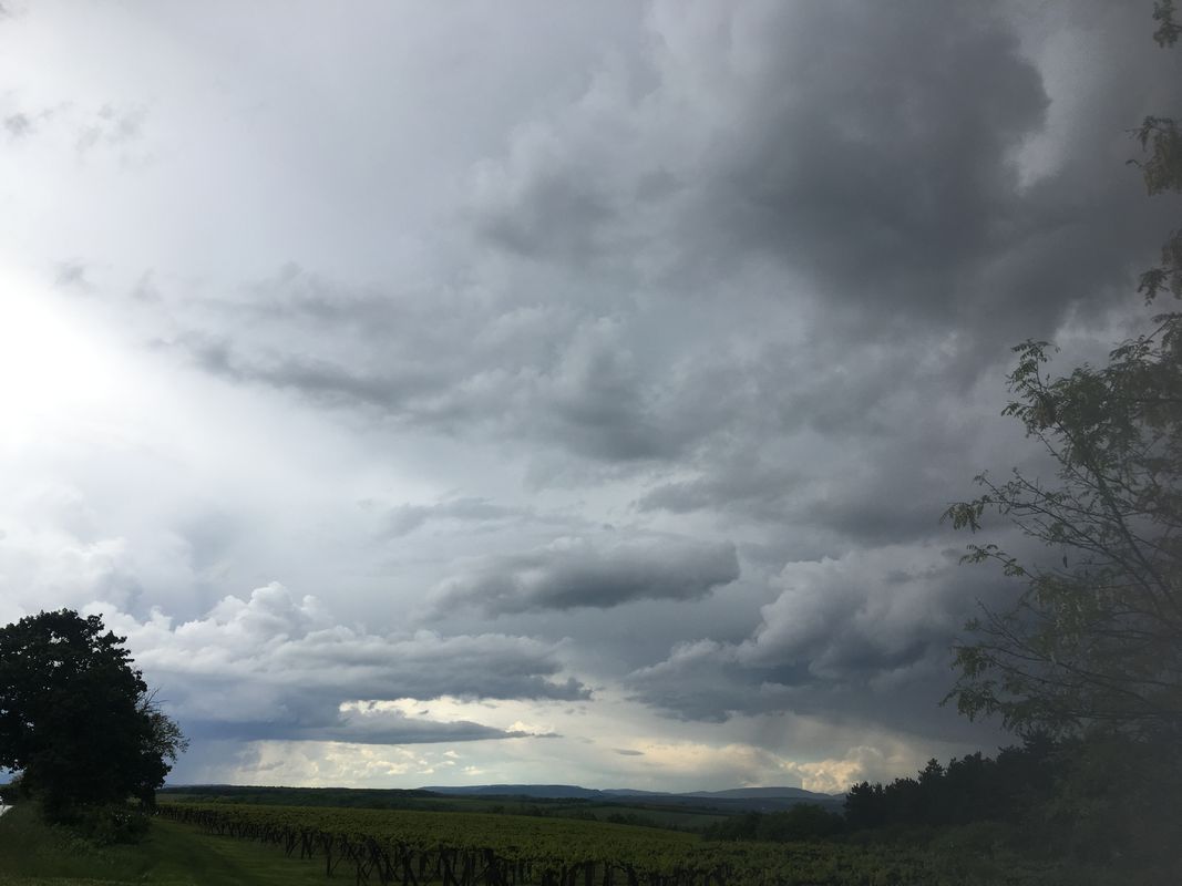 2019.05.20. - Biatorbágy - Alcsút - Bicske