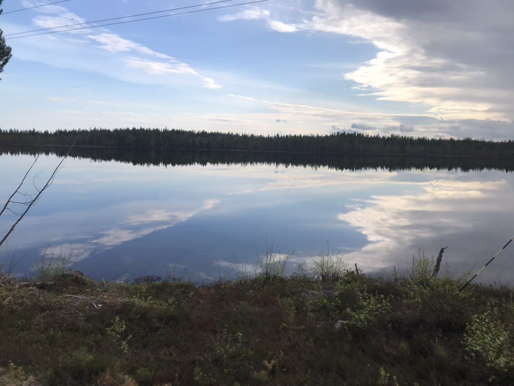 Vitsjön granträskmark kalamark
