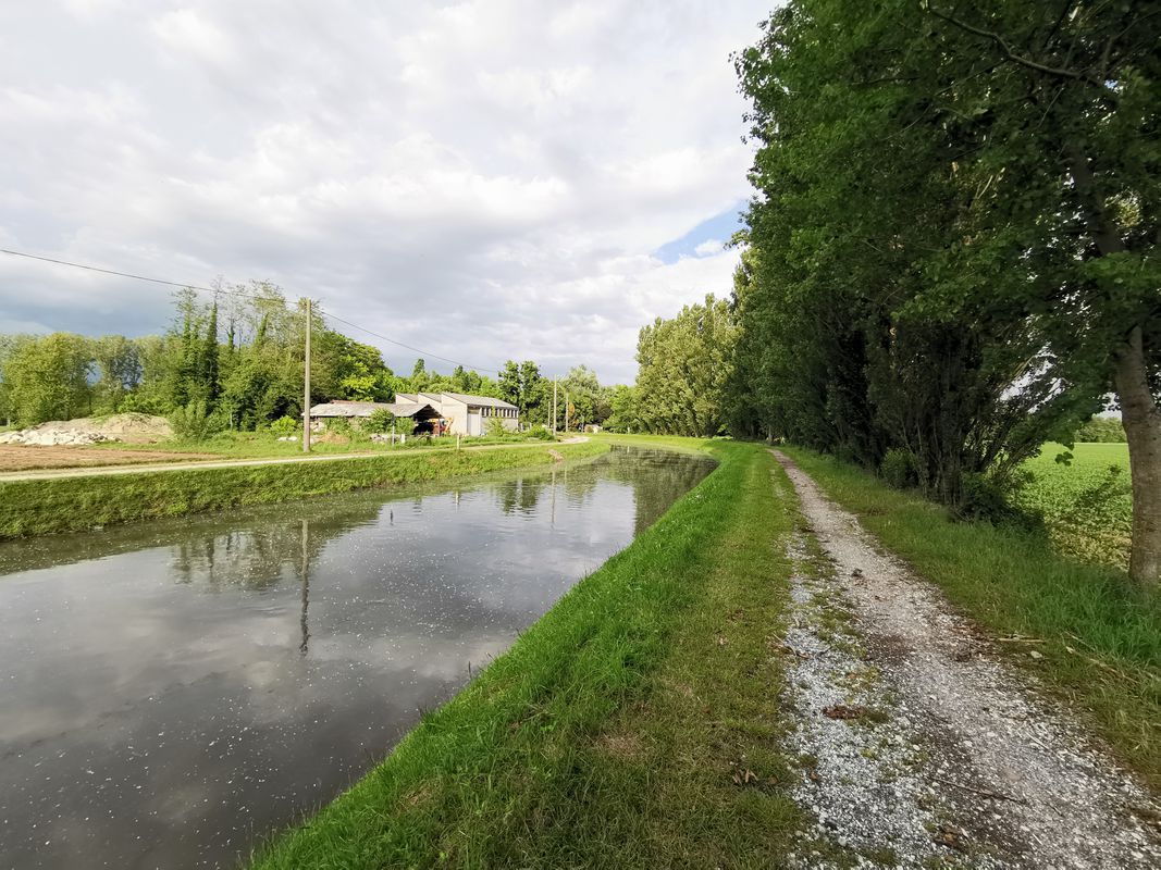 Soresina genivolta moscona
