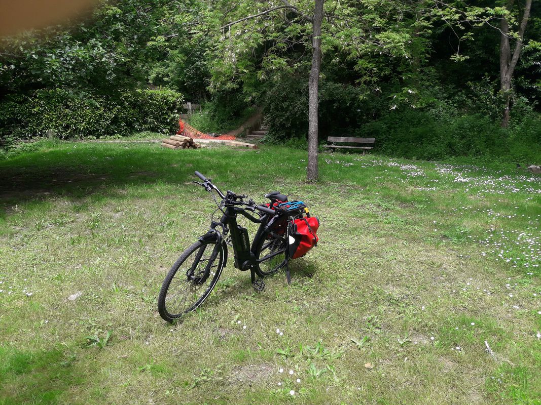 Gif rougemont