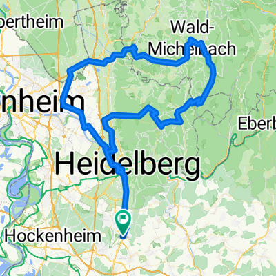 RSCN RTF Heidelberg
