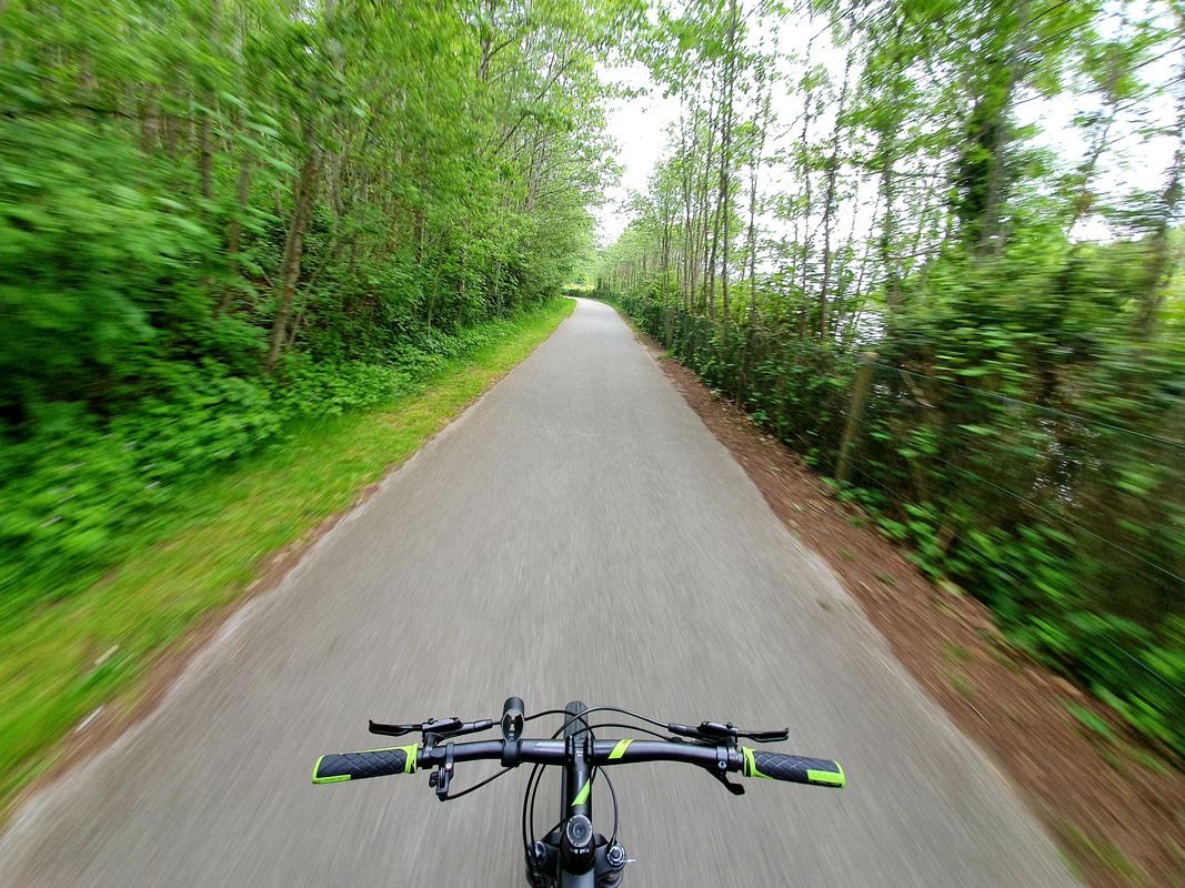 cardio