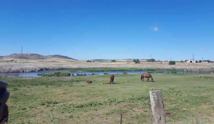 Zdjęcie 1 trasy Bikemap „ciudad real, alarcos, yeguada corrales,cabeza del palo”
