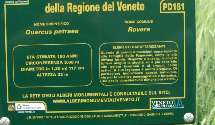 Foto 2 del percorso Bikemap "conselvano"