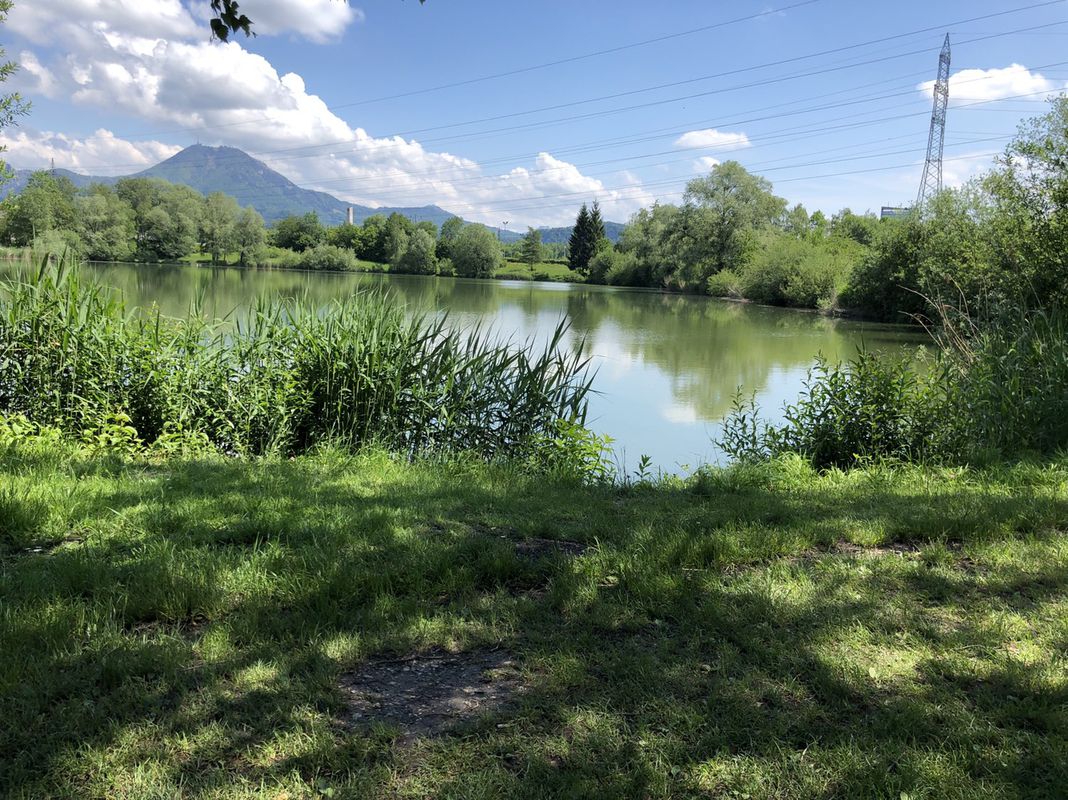 Route im Schneckentempo in Saaldorf-Surheim