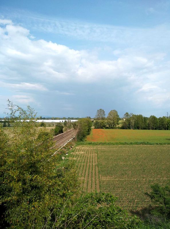 Treviglio-Bariano Fo t.le Brancaleone anello