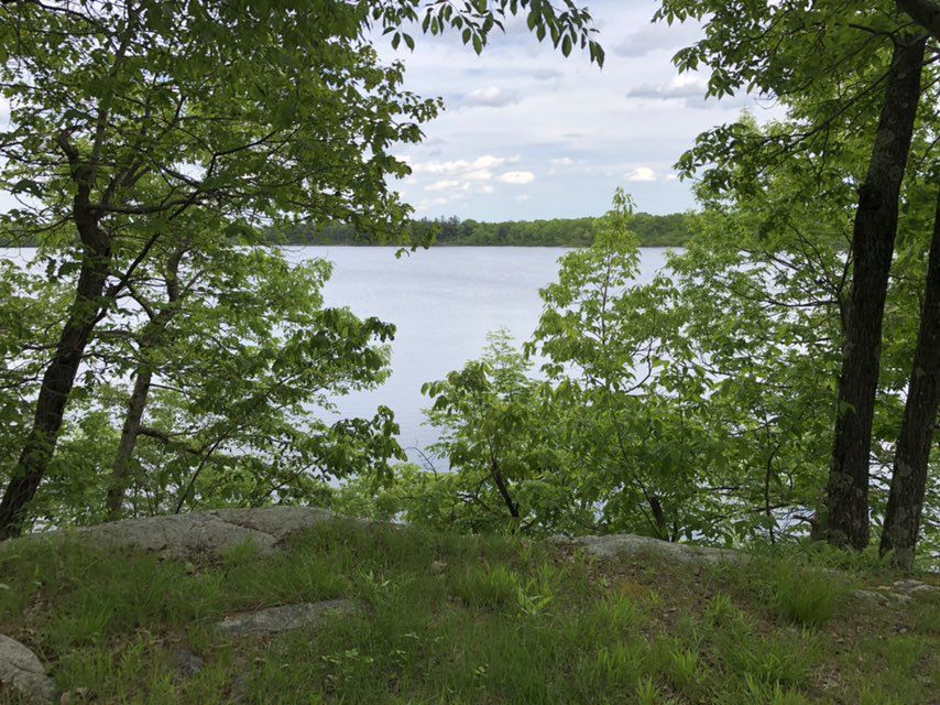 High Point Iris - to Lk Rutherford