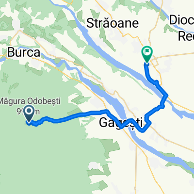 Măgura Odobești coborâre