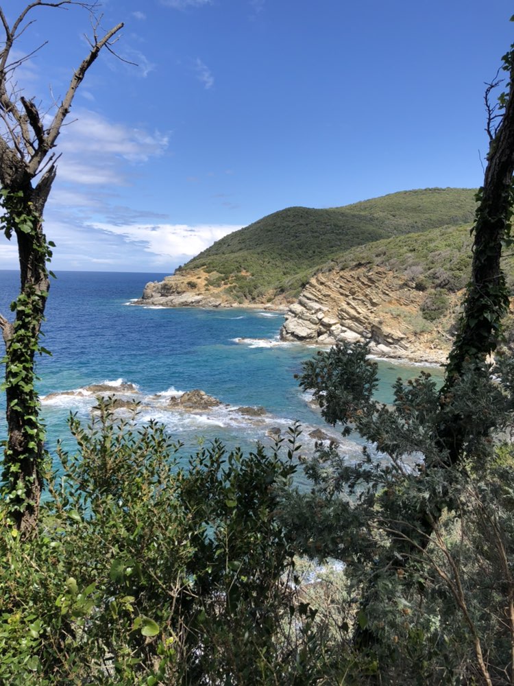 Einfache Fahrt in Piombino