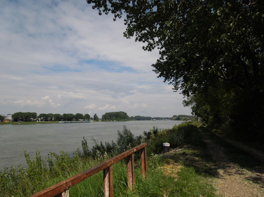 Sandhofen, Riedspitze, Friesenheimer Insel und zurück