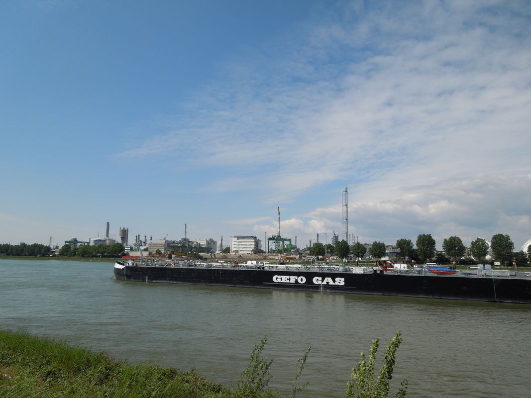 Sandhofen, Riedspitze, Friesenheimer Insel und zurück