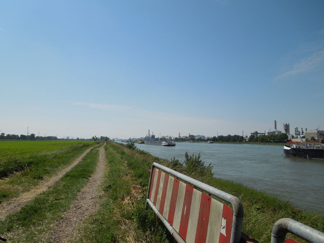 Sandhofen, Riedspitze, Friesenheimer Insel und zurück