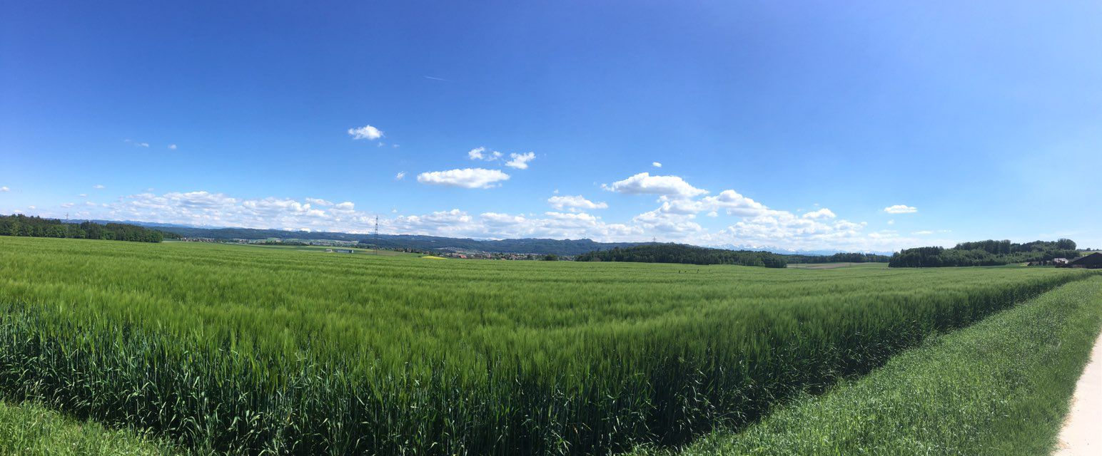 Einfache Fahrt in Jegenstorf