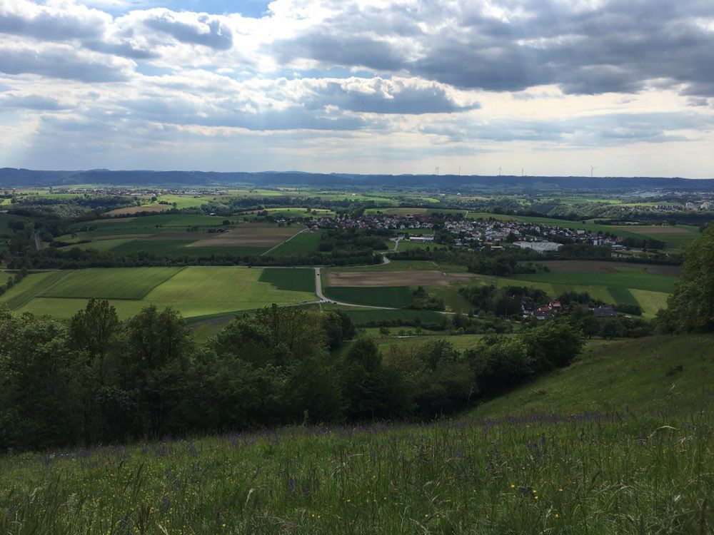 Eschenau - Einkorn