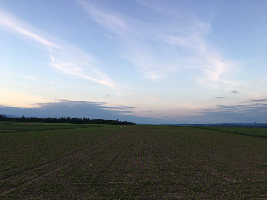 Route rund um Jegenstorf
