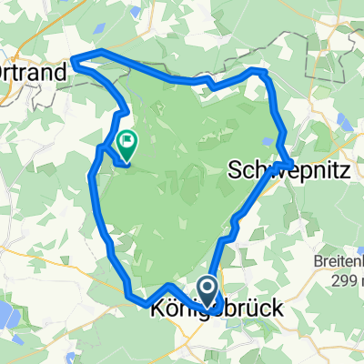Königsbrücker Heide