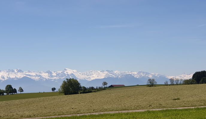 Photo 1 of the Bikemap route "Muri Horben Back"