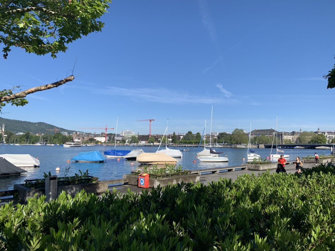 Einfache Fahrt in Zürich