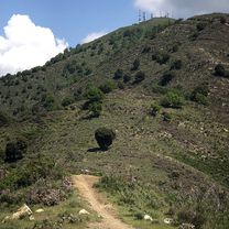 Giro a velocità lenta in Taggia