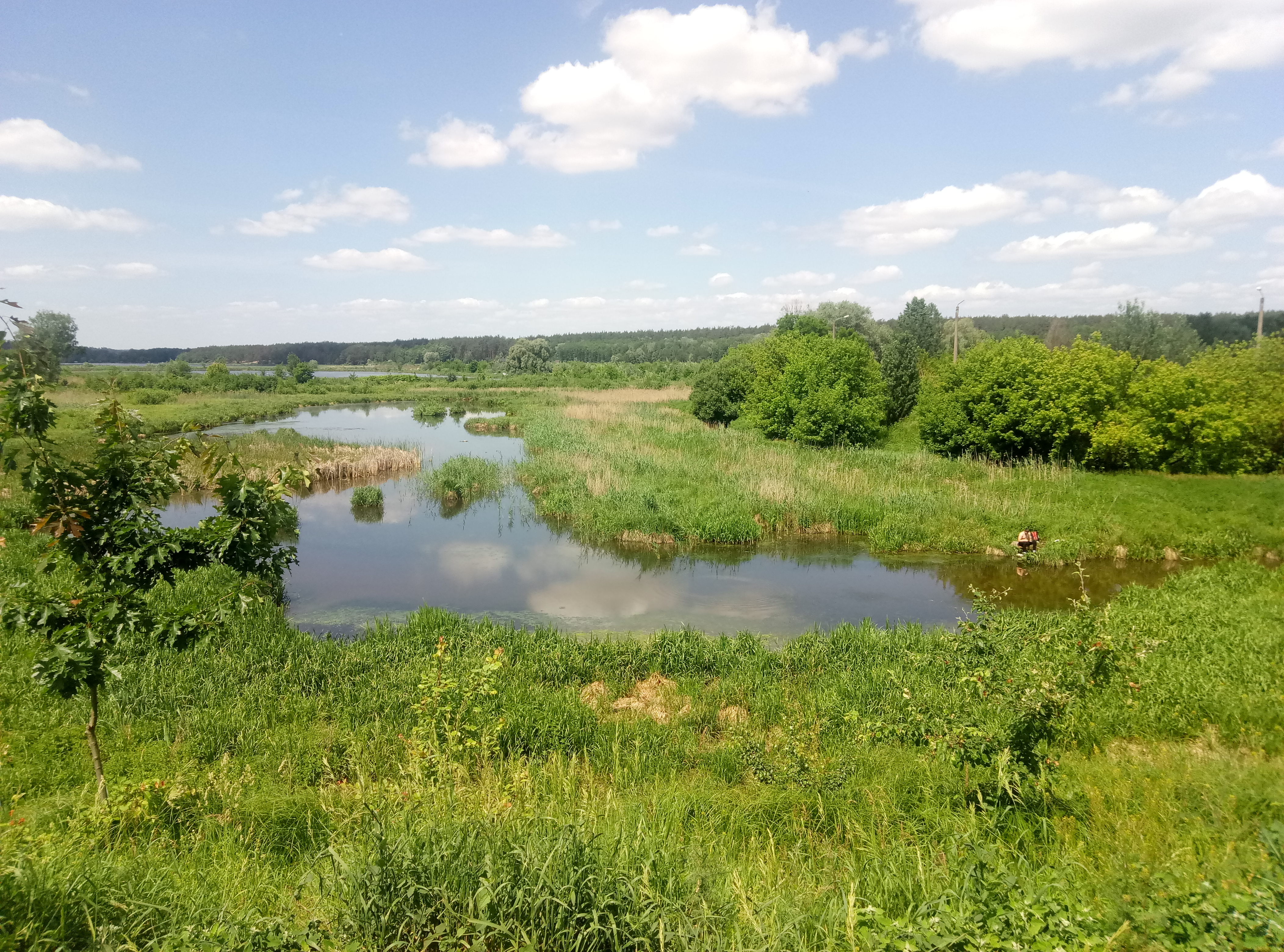 Әйел жыныс мүшелерінің әуесқойлық фотосы