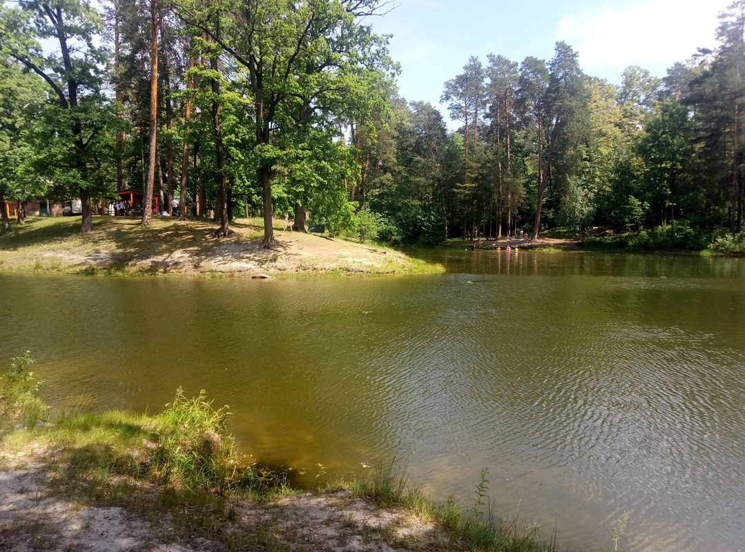 день здоровья