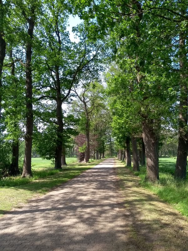 Gescher- Barlo mit Ausflug nach Holland